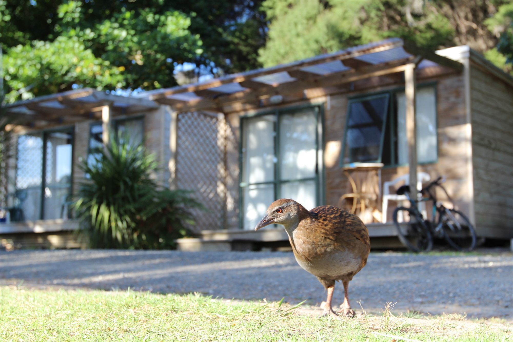 Russell-Orongo Bay Holiday Park Exterior photo