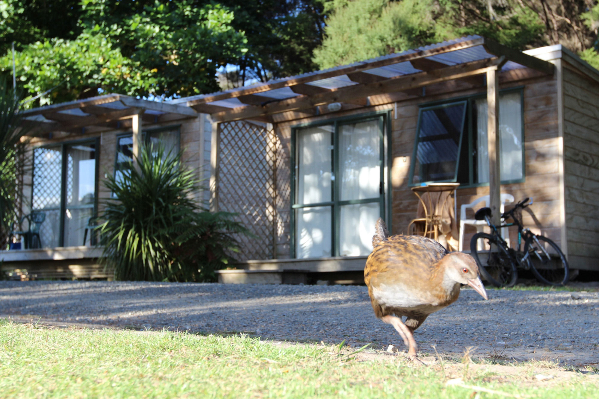 Russell-Orongo Bay Holiday Park Exterior photo